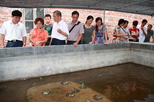 ͳɱ˹ţֳô滮һͼƬ