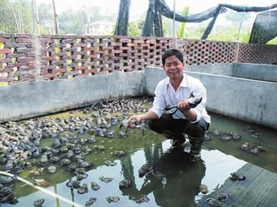 ͳɱ˹ţֳô滮һͼƬ