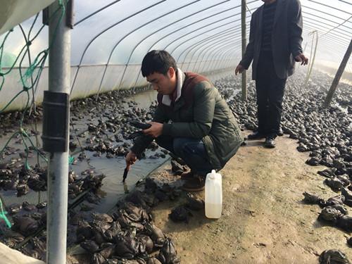 ͳɱ˹ţֳô滮һͼƬ