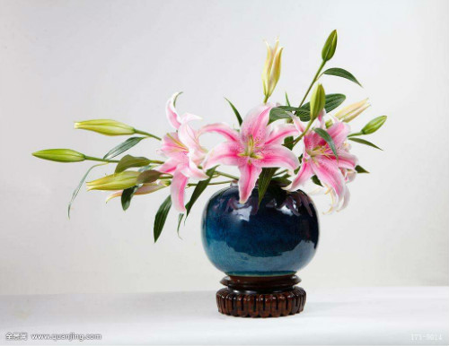 百合花有毒吗适合在室内养吗 百合花对孕妇有影响吗