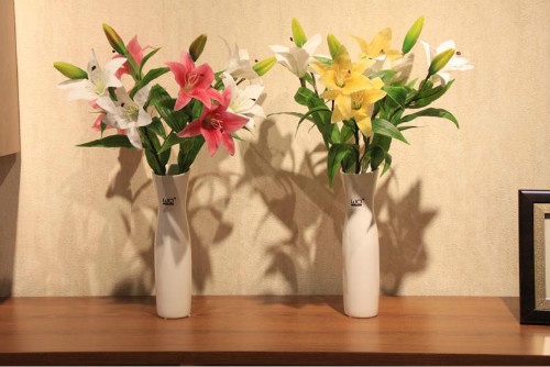 百合花有毒吗适合在室内养吗 百合花对孕妇有影响吗