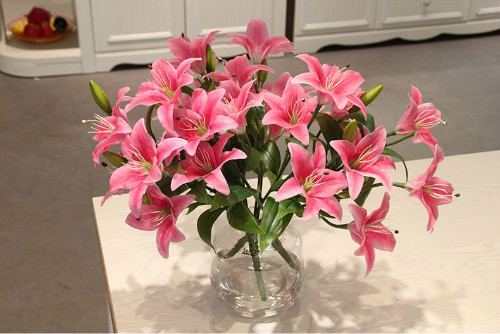 百合花有毒吗适合在室内养吗 百合花对孕妇有影响吗