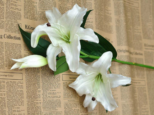 百合花有毒吗适合在室内养吗 百合花对孕妇有影响吗