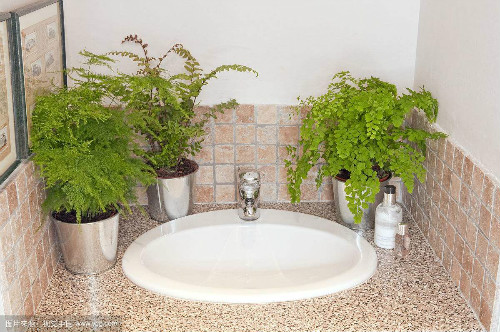 ����ާ�ж��� ����ާ�ܷ������� ����ާ�Ĺ�Ч�����ý���