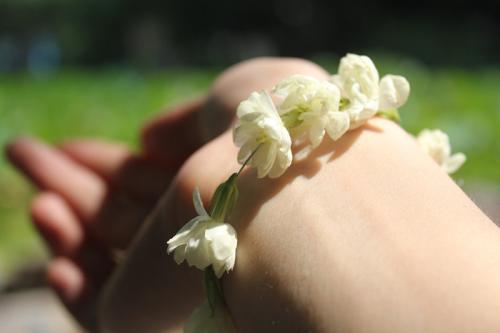 ���ҷ�ʲô������˯�� ʲôֲ���˯�ߺ� ʲôֲ���ʺϷ�����