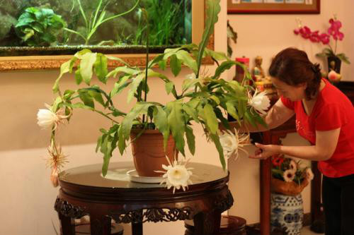 꼻���ô�����ܿ��� 꼻�Ϊʲô������ԭ�� 꼻�����ǰ��ʲôԤ��