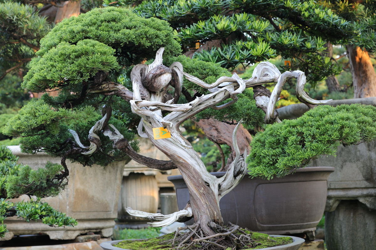 �����ɵ���ֳ������ע�����ʲôʱ���޼�����޼�����ͼ��