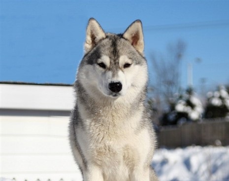 ʮȮаͼƬȫ֣Ȯǰ100ͼ