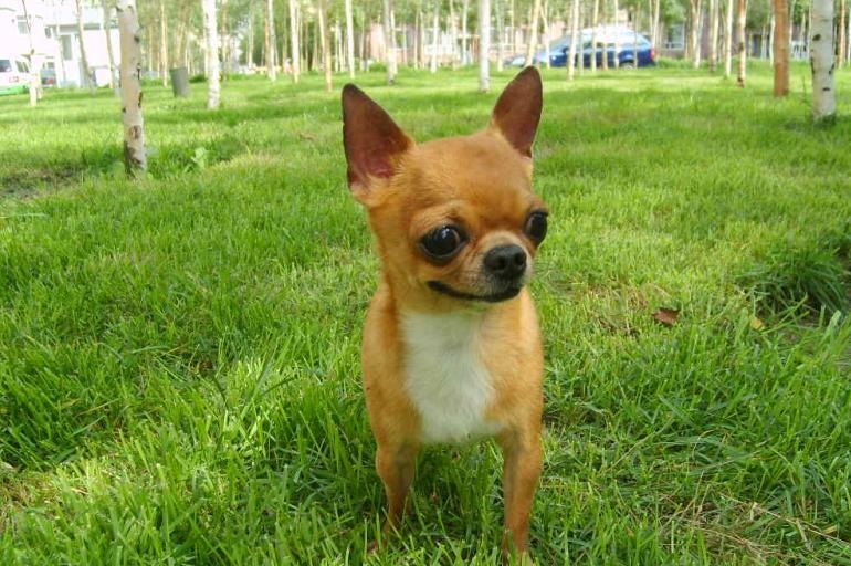 ʮȮаͼƬȫ֣Ȯǰ100ͼ