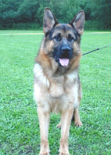 ʮȮаͼƬȫ֣Ȯǰ100ͼ