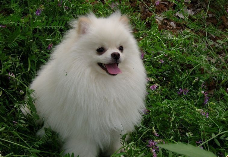 ʮȮаͼƬȫ֣Ȯǰ100ͼ