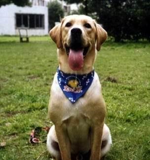 ʮȮаͼƬȫ֣Ȯǰ100ͼ