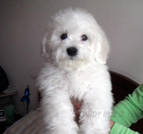 ʮȮаͼƬȫ֣Ȯǰ100ͼ