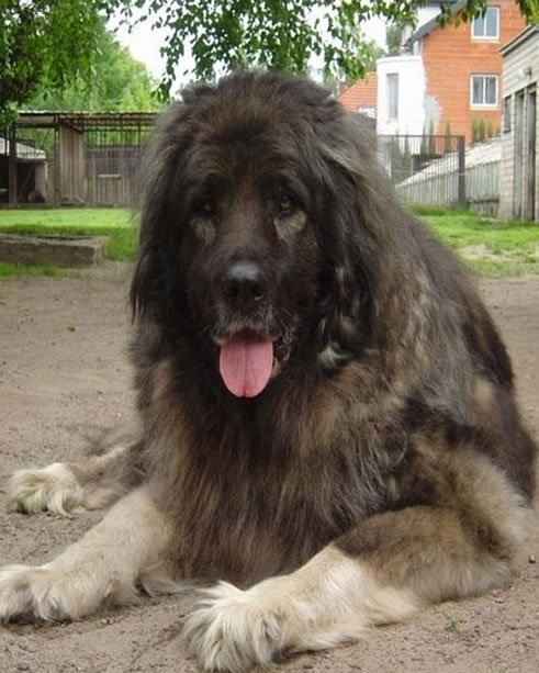 ʮȮаͼƬȫ֣Ȯǰ100ͼ