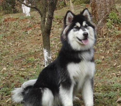 ʮȮаͼƬȫ֣Ȯǰ100ͼ