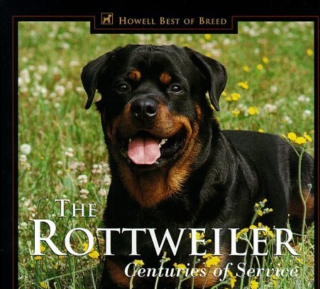 ʮȮаͼƬȫ֣Ȯǰ100ͼ