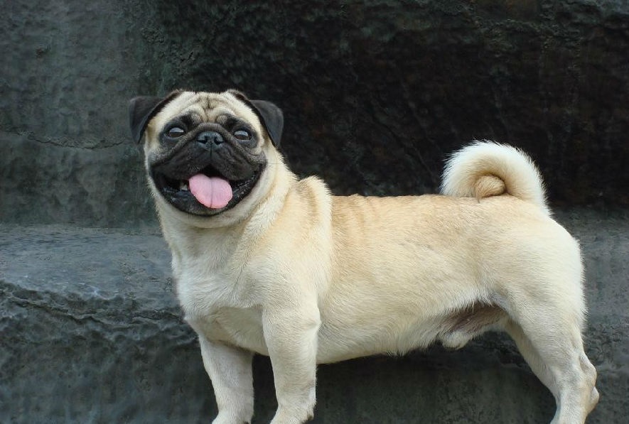 ʮȮаͼƬȫ֣Ȯǰ100ͼ