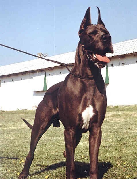 ʮȮаͼƬȫ֣Ȯǰ100ͼ