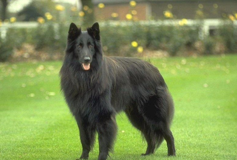 ʮȮаͼƬȫ֣Ȯǰ100ͼ