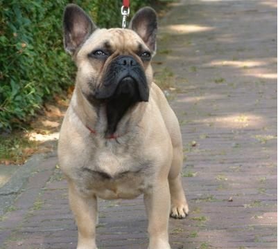 ʮȮаͼƬȫ֣Ȯǰ100ͼ