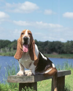 ʮȮаͼƬȫ֣Ȯǰ100ͼ