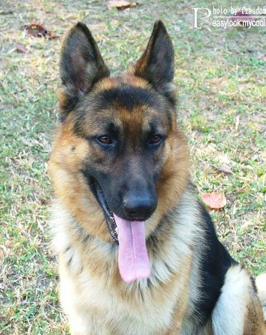 ʮȮаͼƬȫ֣Ȯǰ100ͼ