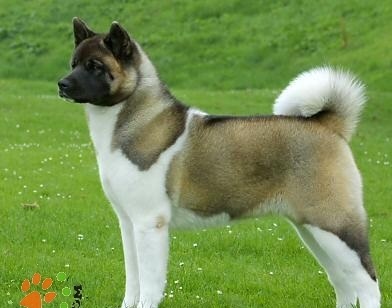 ʮȮаͼƬȫ֣Ȯǰ100ͼ