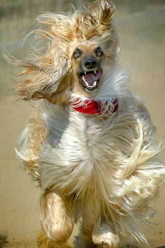 ʮȮаͼƬȫ֣Ȯǰ100ͼ