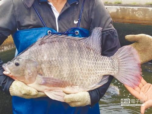 ޷ĸֳٳɱÿĶ һʮĶ޷׬Ǯ