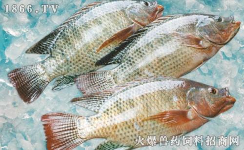 ޷ĸֳٳɱÿĶ һʮĶ޷׬Ǯ