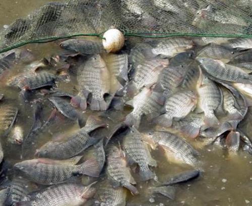 ޷ĸֳٳɱÿĶ һʮĶ޷׬Ǯ