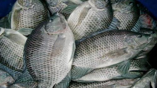 ޷ĸֳٳɱÿĶ һʮĶ޷׬Ǯ