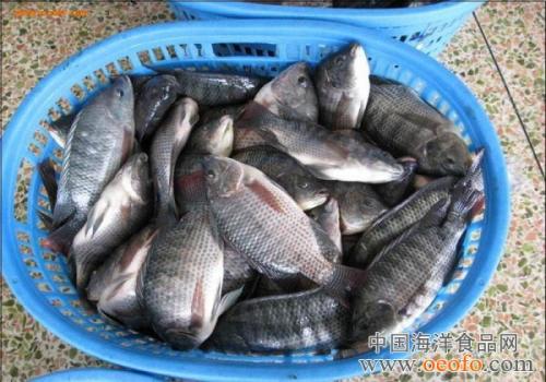 ޷ĸֳٳɱÿĶ һʮĶ޷׬Ǯ