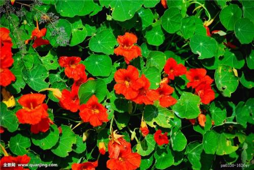 ������������ô�ֲ��ַ�����ͼƬ ������ʲôʱ������η�ѿ