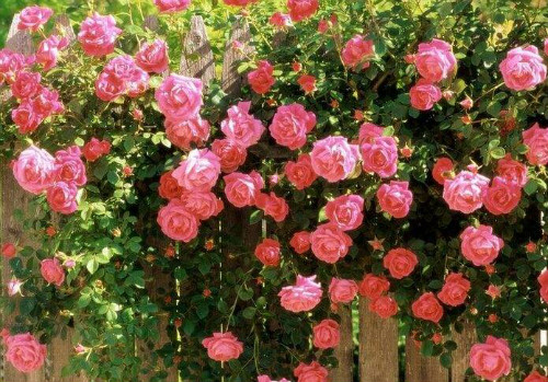 �¼���ɹ������ˮ���� �¼����Ĺ�Ч�����ü���������Щ