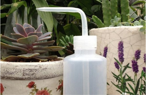 ����ֲ����ô����Ư�� ����ֲ����ֳ������ע������ͼƬ��ȫ