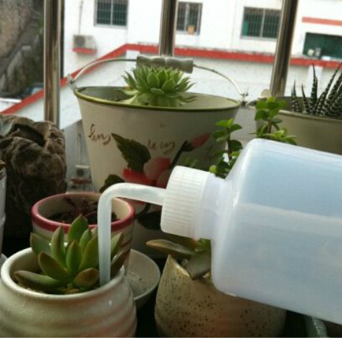 ����ֲ���ý�һ��ˮ ���⽽ˮҪ��͸�� ���⽽ˮ������ô��