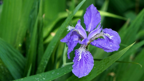 �β���ж��� �β����������Σ���� �β���°������