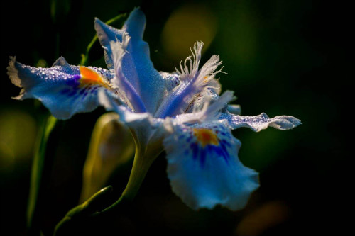 �β���ж��� �β����������Σ���� �β���°������