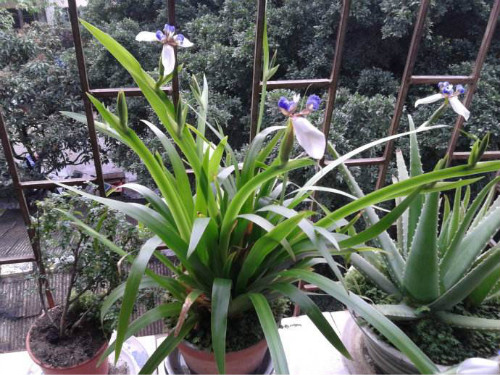 �β���ж��� �β����������Σ���� �β���°������