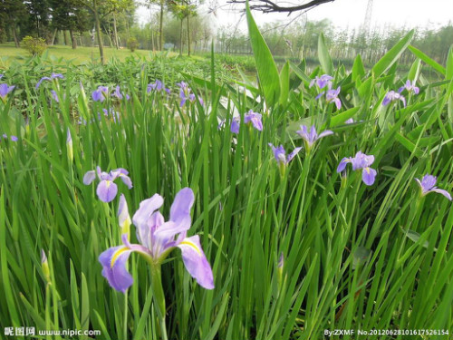 �β���ж��� �β����������Σ���� �β���°������