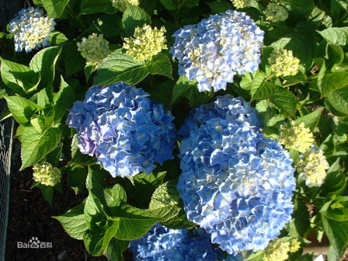 �������ж���������������� ������Ϊʲô�������� ����������