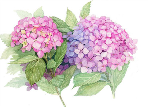 �������ж���������������� ������Ϊʲô�������� ����������