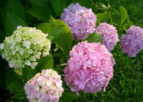 �������ж���������������� ������Ϊʲô�������� ����������