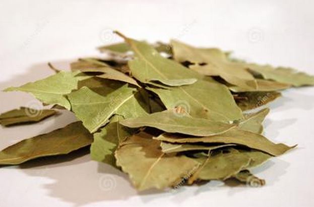 �¹�Ĺ�Ч�����û��Ｐ��˵