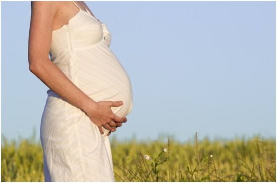 吸毒草有毒吗对孕妇有影响吗 吸毒草可以放卧室吗 吸毒草的作用