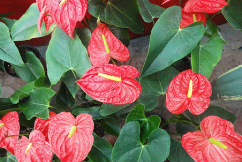 �����ж����ܷ������� �����ܾ��������� ���Ƶķ�ˮ�������