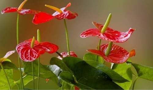 �����ж����ܷ������� �����ܾ��������� ���Ƶķ�ˮ�������