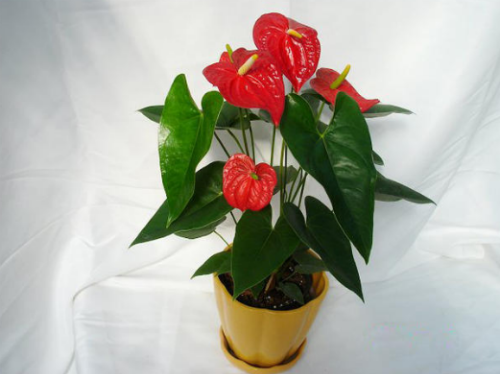 �����ж����ܷ������� �����ܾ��������� ���Ƶķ�ˮ�������