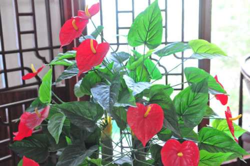 �����ж����ܷ������� �����ܾ��������� ���Ƶķ�ˮ�������